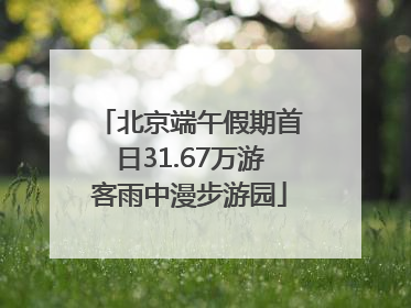 北京端午假期首日31.67万游客雨中漫步游园