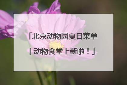 北京动物园夏日菜单丨动物食堂上新啦！