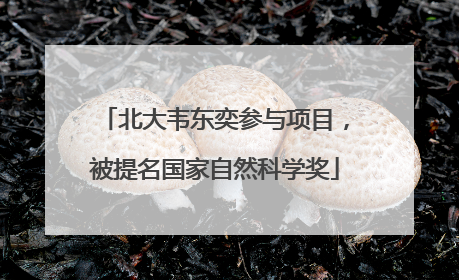 北大韦东奕参与项目，被提名国家自然科学奖