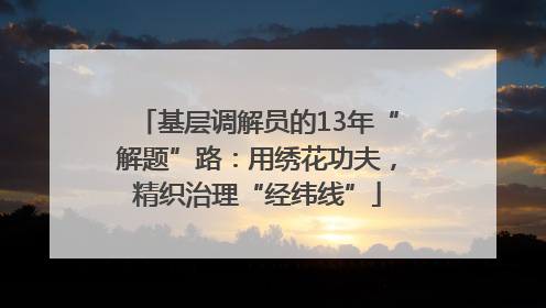 基层调解员的13年“解题”路：用绣花功夫，精织治理“经纬线”