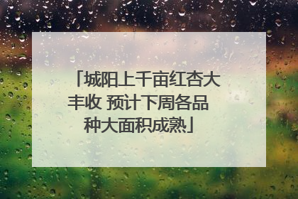 城阳上千亩红杏大丰收 预计下周各品种大面积成熟