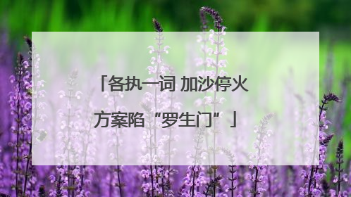 各执一词 加沙停火方案陷“罗生门”