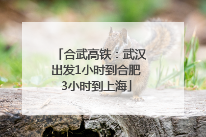 合武高铁：武汉出发1小时到合肥3小时到上海