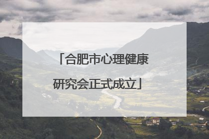 合肥市心理健康研究会正式成立