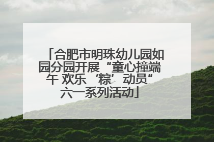 合肥市明珠幼儿园如园分园开展“童心撞端午 欢乐‘粽’动员”六一系列活动