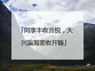 同享丰收喜悦，大兴瀛海麦收开镰