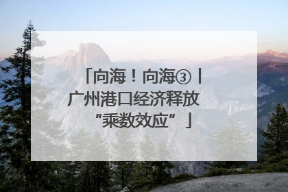 向海！向海③丨广州港口经济释放“乘数效应”