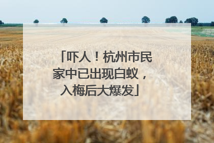 吓人！杭州市民家中已出现白蚁，入梅后大爆发