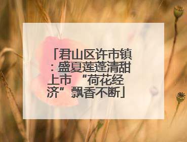 君山区许市镇：盛夏莲蓬清甜上市 “荷花经济”飘香不断