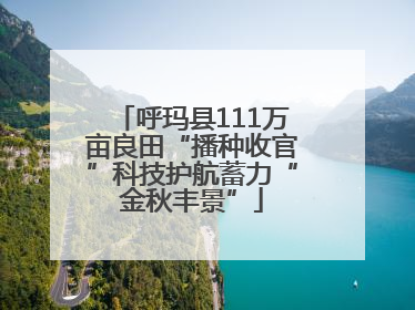 呼玛县111万亩良田“播种收官”科技护航蓄力“金秋丰景”