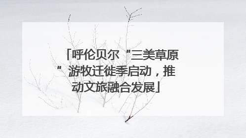 呼伦贝尔“三美草原”游牧迁徙季启动，推动文旅融合发展