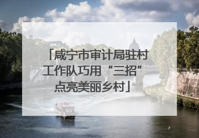 咸宁市审计局驻村工作队巧用“三招”点亮美丽乡村