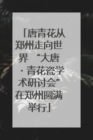 唐青花从郑州走向世界 “大唐・青花瓷学术研讨会”在郑州圆满举行