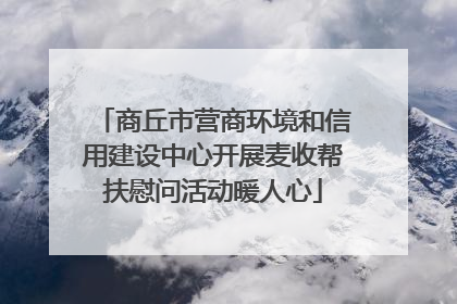 商丘市营商环境和信用建设中心开展麦收帮扶慰问活动暖人心