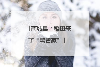 商城县：稻田来了“鸭管家”
