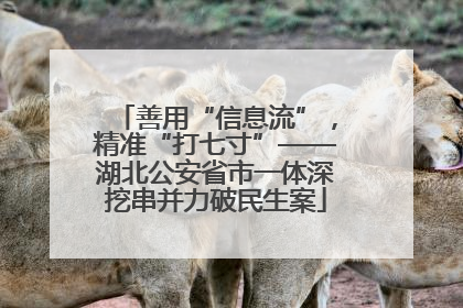 善用“信息流”，精准“打七寸”——湖北公安省市一体深挖串并力破民生案