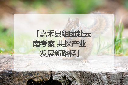嘉禾县组团赴云南考察 共探产业发展新路径