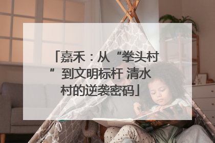 嘉禾：从“拳头村”到文明标杆 清水村的逆袭密码