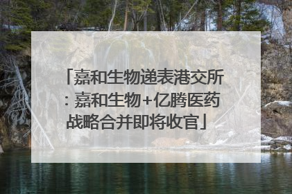 嘉和生物递表港交所：嘉和生物+亿腾医药战略合并即将收官
