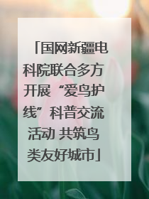国网新疆电科院联合多方开展“爱鸟护线”科普交流活动 共筑鸟类友好城市
