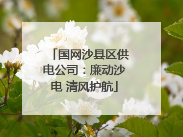 国网沙县区供电公司：廉动沙电 清风护航