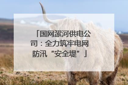 国网漯河供电公司：全力筑牢电网防汛“安全堤”