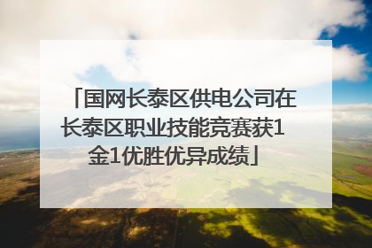 国网长泰区供电公司在长泰区职业技能竞赛获1金1优胜优异成绩
