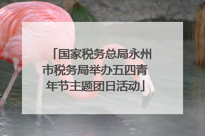 国家税务总局永州市税务局举办五四青年节主题团日活动