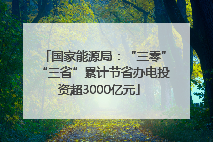国家能源局：“三零”“三省”累计节省办电投资超3000亿元