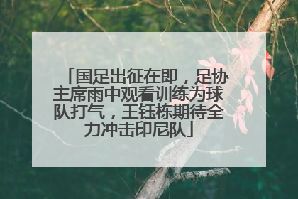 国足出征在即，足协主席雨中观看训练为球队打气，王钰栋期待全力冲击印尼队