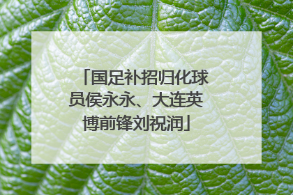 国足补招归化球员侯永永、大连英博前锋刘祝润