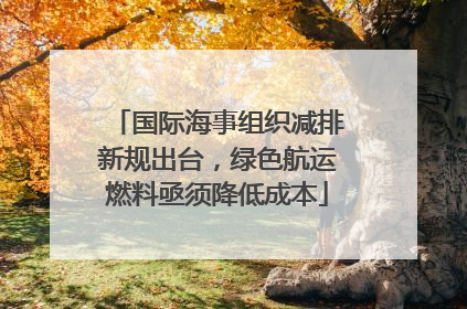 国际海事组织减排新规出台，绿色航运燃料亟须降低成本