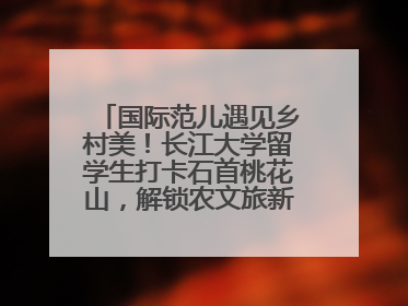 国际范儿遇见乡村美！长江大学留学生打卡石首桃花山，解锁农文旅新玩法！