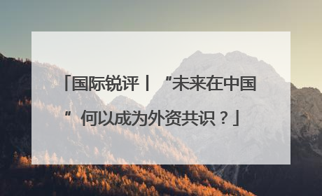 国际锐评丨“未来在中国”何以成为外资共识？