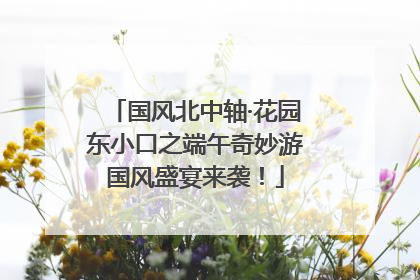 国风北中轴·花园东小口之端午奇妙游国风盛宴来袭！