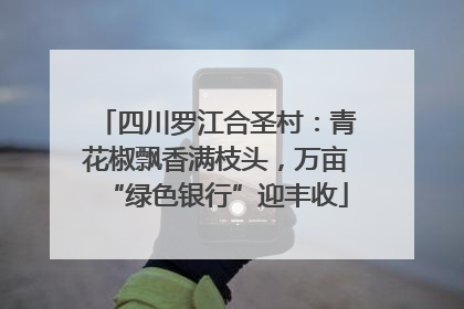 四川罗江合圣村：青花椒飘香满枝头，万亩“绿色银行”迎丰收