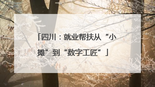 四川：就业帮扶从“小摊”到“数字工匠”