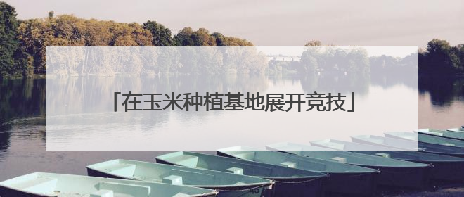 在玉米种植基地展开竞技