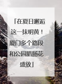 在夏日邂逅这一抹明黄！厦门多个路段和公园腊肠花盛放