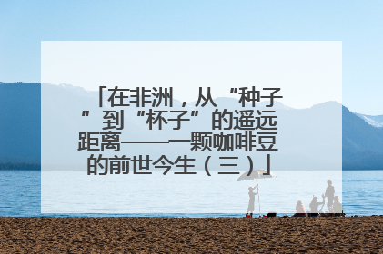 在非洲，从“种子”到“杯子”的遥远距离——一颗咖啡豆的前世今生（三）