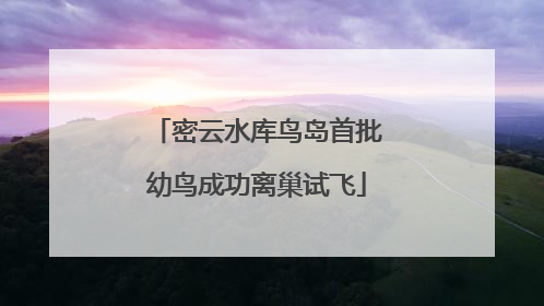 密云水库鸟岛首批幼鸟成功离巢试飞