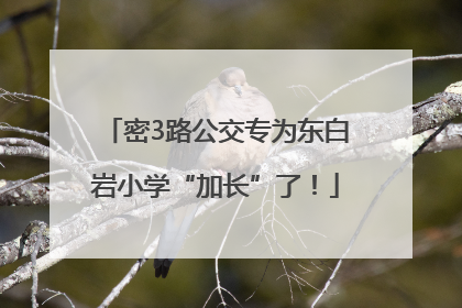 密3路公交专为东白岩小学“加长”了！