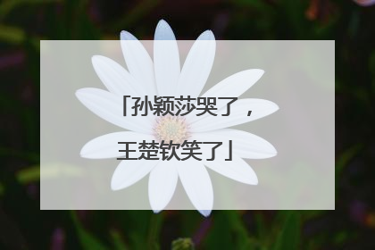 孙颖莎哭了，王楚钦笑了
