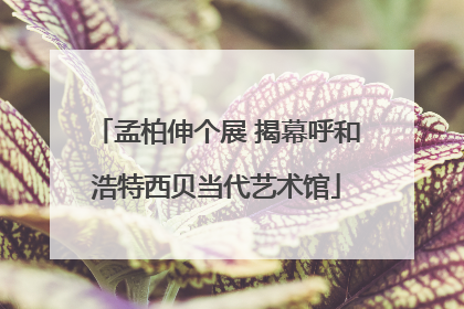 孟柏伸个展 揭幕呼和浩特西贝当代艺术馆