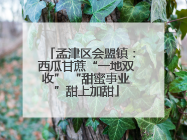 孟津区会盟镇：西瓜甘蔗“一地双收” “甜蜜事业”甜上加甜