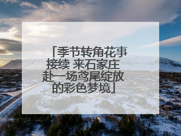 季节转角花事接续 来石家庄赴一场鸢尾绽放的彩色梦境