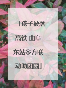 孩子被落高铁 曲阜东站多方联动助团圆