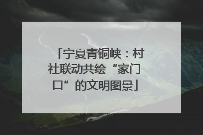 宁夏青铜峡：村社联动共绘“家门口”的文明图景