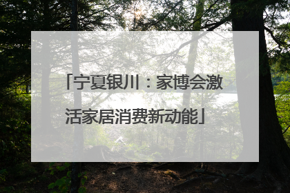 宁夏银川：家博会激活家居消费新动能