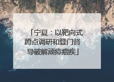 宁夏：以靶向式蹲点调研和登门督导破解顽瘴痼疾